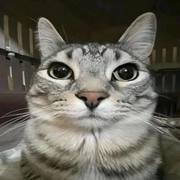 Thumb img 95817496fe