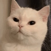 Thumb img ed3913205d