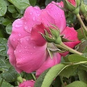 Thumb img 9f96f9bf70