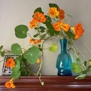 Thumb img 9ce16d25b4