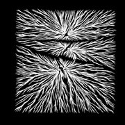 Thumb img f026153e9f