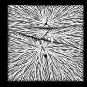 Thumb img 35c6769597