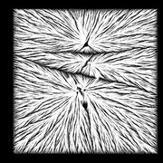 Thumb img c789f101d5