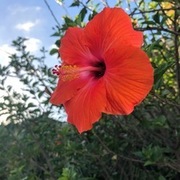 Thumb img c0d1ca1947