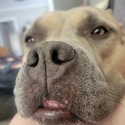 Thumb img 68acee1cdd