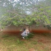 Thumb img e5220c6734