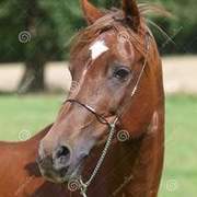 Thumb img 5796e6770b