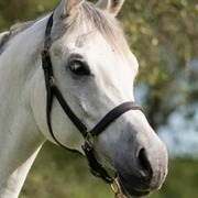Thumb img 5ed3e352df