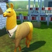 Thumb img 173387134c