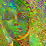 Thumb img 9dc2182a0b