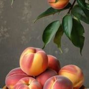 Thumb img 695a6c4261