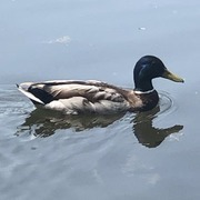 Thumb img eec51b1197