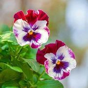 Thumb img 0270acd5a6