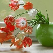 Thumb img 77034e1142