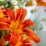 Thumb img 8bcfb3ce52