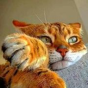 Thumb img f133babde4