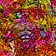 Thumb img 6e885f76cb