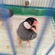 Thumb img 842d556218