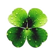 Thumb img 8655c9a658