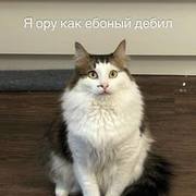 Thumb img 6a1d70f497