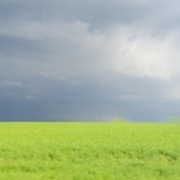 Thumb img aaa5772527