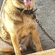 Thumb img 0568caf342