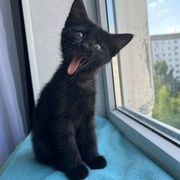 Thumb img 3027e51098