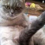 Thumb img 28be198df6