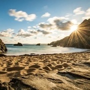 Thumb img 3bdc1783f9