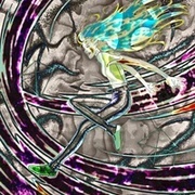 Thumb img abf40151e5