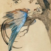 Thumb img 12e45d2a16