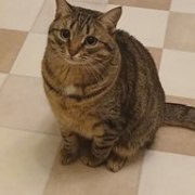 Thumb img d8c79652ad