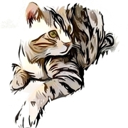 Thumb img 95b161c8f9