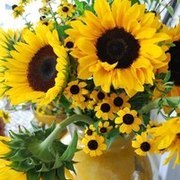 Thumb img daeea36af7