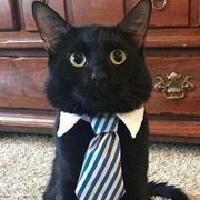 Thumb img 2970ecd90c