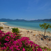 Thumb img 9a03a8943a