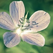 Thumb img 931f10e61b