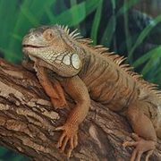 Thumb img 663b557947