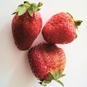 Thumb img 392bd7862b