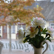 Thumb img 8e84f96d29