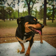 Thumb img aad82f5b65