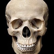 Thumb img 3083dce057