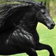 Thumb img 405f3221f0