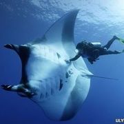 Thumb img c5137540ab