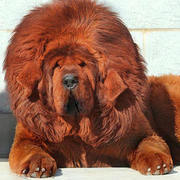 Thumb img a6d57c763e