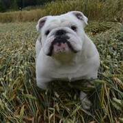 Thumb img 34021d9e71