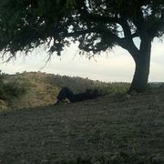 Thumb img 02ad74a95f
