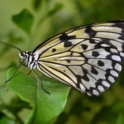 Thumb img cffb64b296