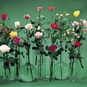 Thumb img 884d5cd39e