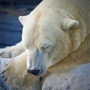 Thumb img 27207ae51d